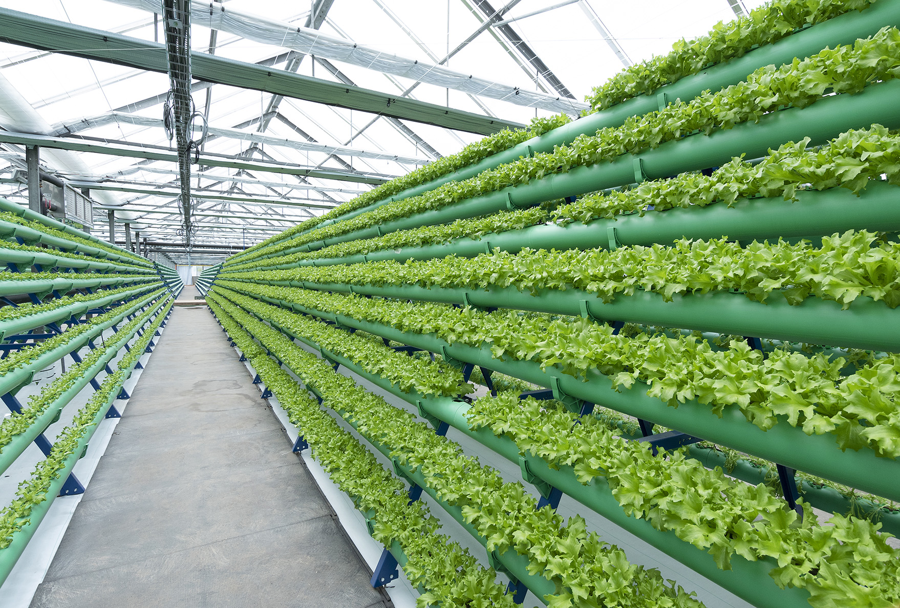 aquaponics farm