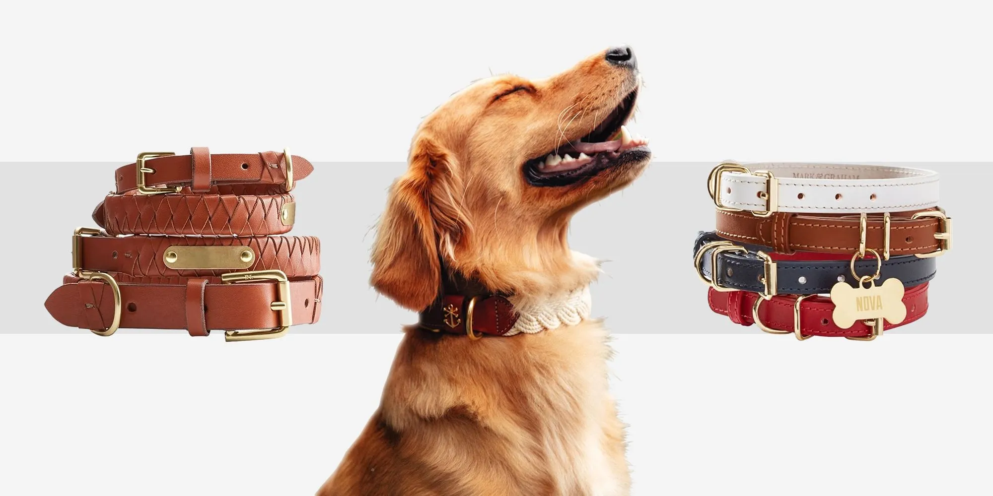 pet collars and leashes