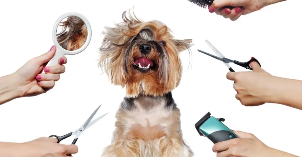 Pet Grooming Tools